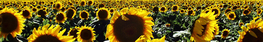 Kampagne gegen die ABG Rotating Header Image